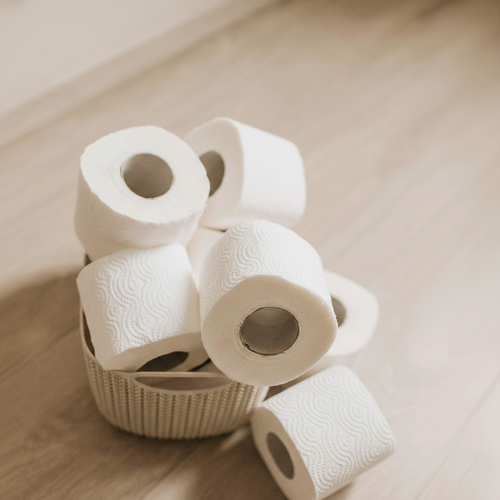 Bath Tissue 400 Sheets